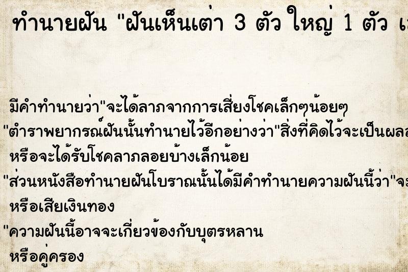 ทำนายฝัน ฝันเห็นเต่า 3 ตัว ใหญ่ 1 ตัว เล็ก 2 ตัว